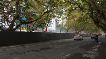 嚴(yán)排查 強(qiáng)落實(shí)——嘉來(lái)建工開(kāi)展在建項(xiàng)目環(huán)保專(zhuān)項(xiàng)檢查，筑牢生態(tài)防線